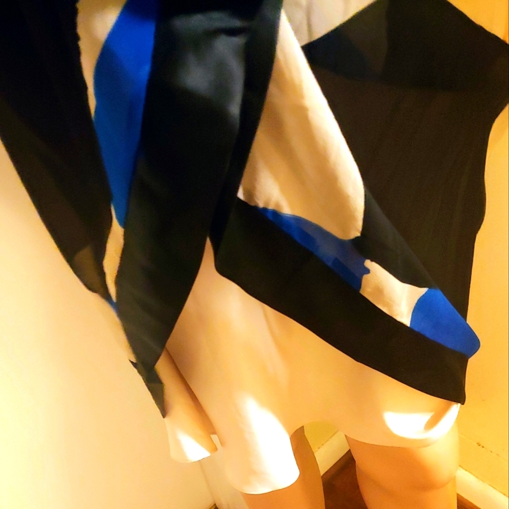 NEW SUE WONG 10 SILK CHIFFON BLUE BLACK WHITE V LOW CUT DRESS - Picture 4 of 9